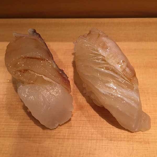 Red Snapper and Halibut