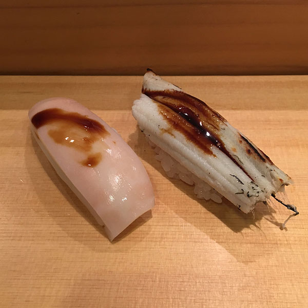 squid and sea eel